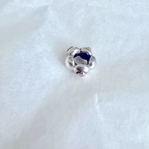 Pandora Charm